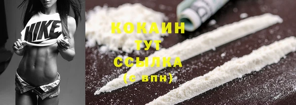ГАЛЛЮЦИНОГЕННЫЕ ГРИБЫ Вязники