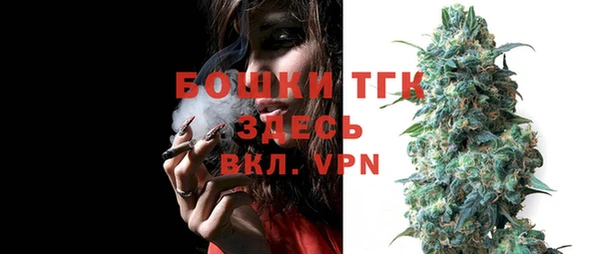 сатива Вяземский