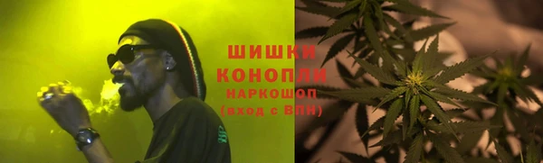 ГАЛЛЮЦИНОГЕННЫЕ ГРИБЫ Вязники