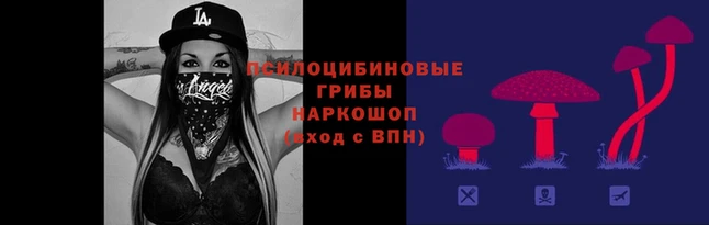 2c-b Волоколамск
