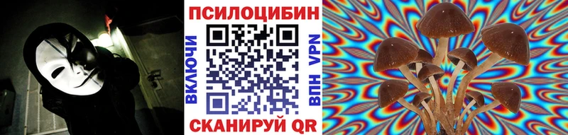 Галлюциногенные грибы прущие грибы Канск